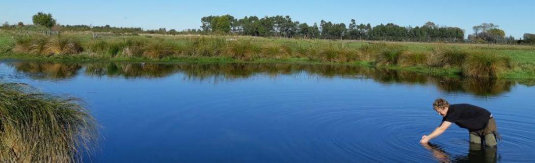 CAREX river study