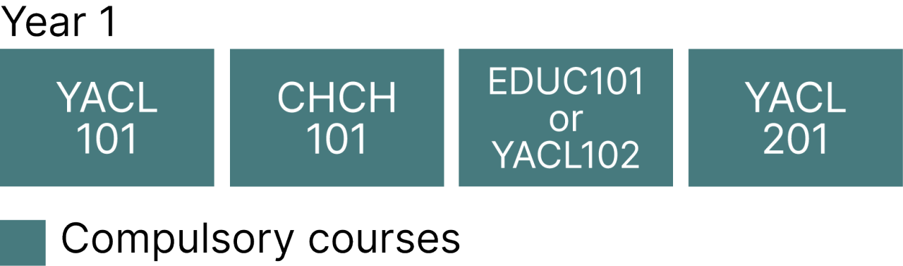 Certificate in Youth and Community Leadership