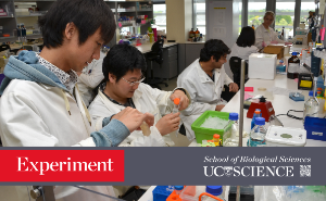 Experiment Poster Image